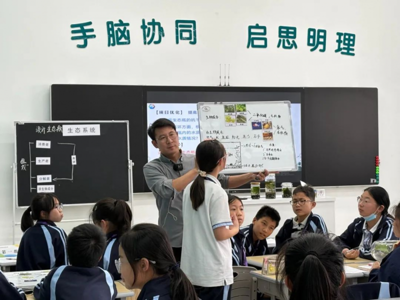 图片82.png 图片82.png